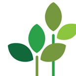 �����ѳ��� CI