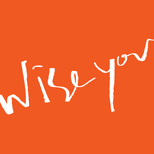 Wise  Yor,Wise University,YSU